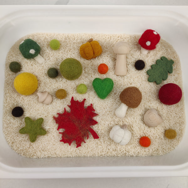 Sensory bin - AUTUMN 